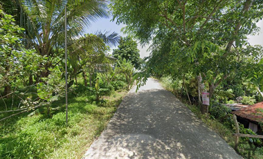 7,395sqm Agricultural Lot for Sale in Silang, Cavite
