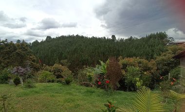 Finca Vereda El Portento - El Retiro