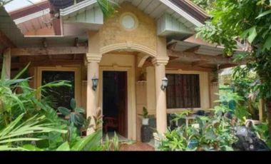 Rush House and Lot for Sale in Tawala Panglao/ BOHOLANA REALTY