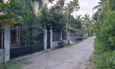 Rush House and Lot for Sale in Tawala Panglao/ BOHOLANA REALTY