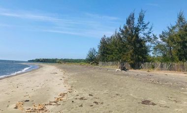 FOR SALE - Vacant Lot in Brgy. Lipay, Palauig, Zambales