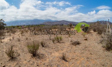 Venta de gran terreno de 3 hectáreas en Las Barrancas, Coquimbo. 2.500 UF