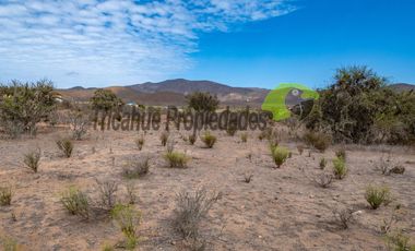 Venta de gran terreno de 3 hectáreas en Las Barrancas, Coquimbo. 2.500 UF