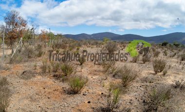 Venta de gran terreno de 3 hectáreas en Las Barrancas, Coquimbo. 2.500 UF
