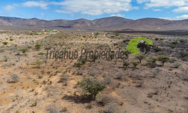 Venta de gran terreno de 3 hectáreas en Las Barrancas, Coquimbo. 2.500 UF