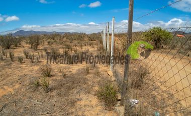 Venta de gran terreno de 3 hectáreas en Las Barrancas, Coquimbo. 2.500 UF