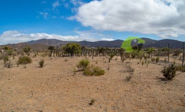 Venta de gran terreno de 3 hectáreas en Las Barrancas, Coquimbo. 2.500 UF