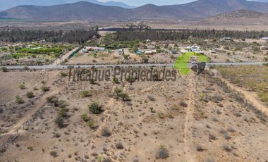 Venta de gran terreno de 3 hectáreas en Las Barrancas, Coquimbo. 2.500 UF