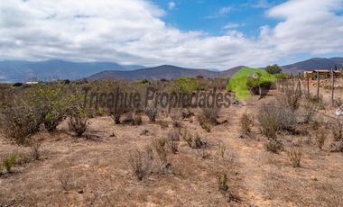 Venta de gran terreno de 3 hectáreas en Las Barrancas, Coquimbo. 2.500 UF