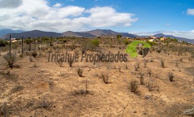 Venta de gran terreno de 3 hectáreas en Las Barrancas, Coquimbo. 2.500 UF