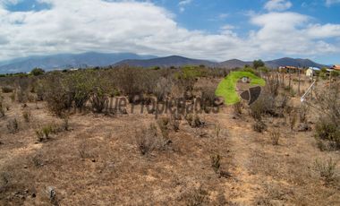 Venta de gran terreno de 3 hectáreas en Las Barrancas, Coquimbo. 2.500 UF