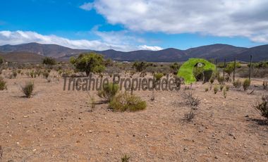 Venta de gran terreno de 3 hectáreas en Las Barrancas, Coquimbo. 2.500 UF