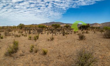 Venta de gran terreno de 3 hectáreas en Las Barrancas, Coquimbo. 2.500 UF