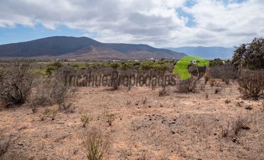 Venta de gran terreno de 3 hectáreas en Las Barrancas, Coquimbo. 2.500 UF