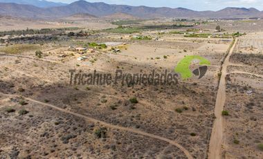 Venta de gran terreno de 3 hectáreas en Las Barrancas, Coquimbo. 2.500 UF