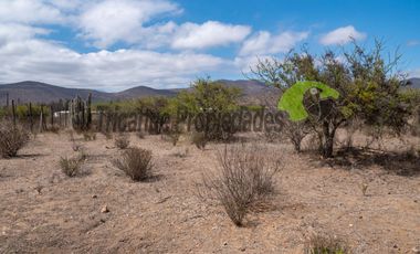 Venta de gran terreno de 3 hectáreas en Las Barrancas, Coquimbo. 2.500 UF