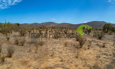 Venta de gran terreno de 3 hectáreas en Las Barrancas, Coquimbo. 2.500 UF