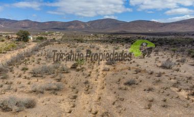Venta de gran terreno de 3 hectáreas en Las Barrancas, Coquimbo. 2.500 UF