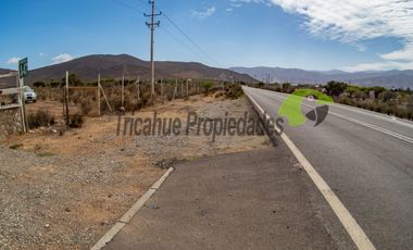 Venta de gran terreno de 3 hectáreas en Las Barrancas, Coquimbo. 2.500 UF