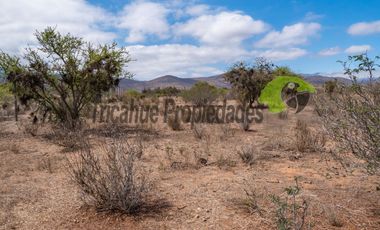 Venta de gran terreno de 3 hectáreas en Las Barrancas, Coquimbo. 2.500 UF