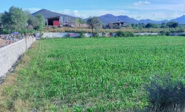 TERRENO EN IXMIQUILPAN COL. PANALES SOBRE CARR. FEDERAL