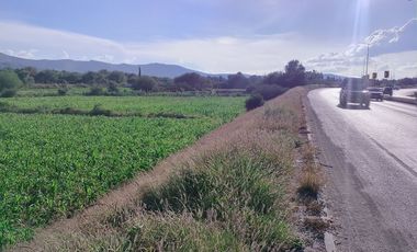 TERRENO EN IXMIQUILPAN COL. PANALES SOBRE CARR. FEDERAL