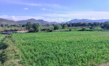 TERRENO EN IXMIQUILPAN COL. PANALES SOBRE CARR. FEDERAL