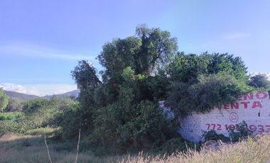 TERRENO EN IXMIQUILPAN COL. PANALES SOBRE CARR. FEDERAL