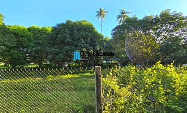 Live the Beach Life! Stunning 2,549 sqm Parcel of Land with 18 Mango Trees - Just 400m to the Beach