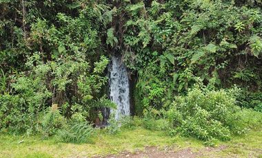 Venta Hacienda Imbabura Urcuquí 71.5 Has