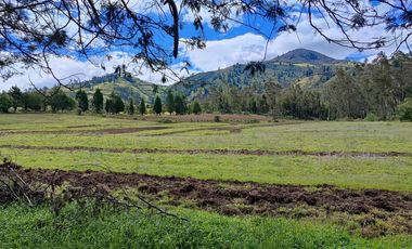 Venta Hacienda Imbabura Urcuquí 71.5 Has