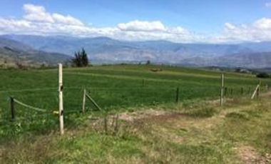 Venta Hacienda Imbabura Urcuquí 71.5 Has