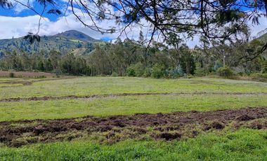 Venta Hacienda Imbabura Urcuquí 71.5 Has