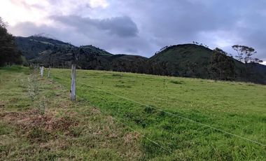 Venta Hacienda Imbabura Urcuquí 71.5 Has