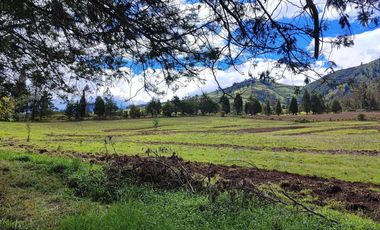 Venta Hacienda Imbabura Urcuquí 71.5 Has