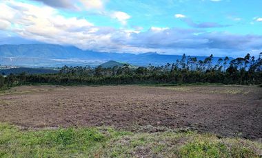 Venta Hacienda Imbabura Urcuquí 71.5 Has