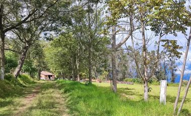 Venta Hacienda Imbabura Urcuquí 71.5 Has