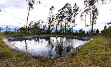 Venta Hacienda Imbabura Urcuquí 71.5 Has