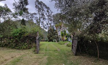 Venta Hacienda Imbabura Urcuquí 71.5 Has