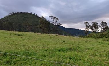 Venta Hacienda Imbabura Urcuquí 71.5 Has