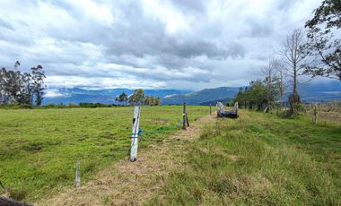 Venta Hacienda Imbabura Urcuquí 71.5 Has