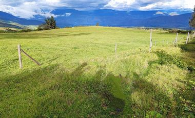 Venta Hacienda Imbabura Urcuquí 71.5 Has