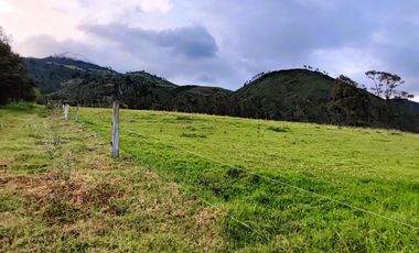 Venta Hacienda Imbabura Urcuquí 71.5 Has