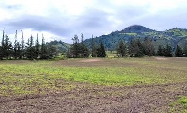 Venta Hacienda Imbabura Urcuquí 71.5 Has