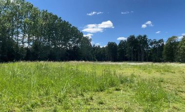 Amplio Terreno en Angachilla 9160 m2