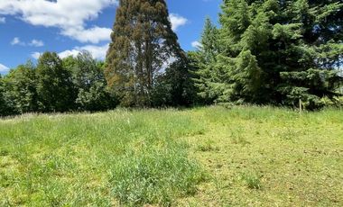 Amplio Terreno en Angachilla 9160 m2