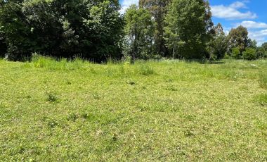 Amplio Terreno en Angachilla 9160 m2