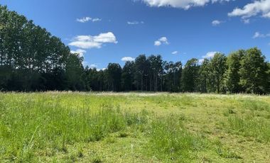 Amplio Terreno en Angachilla 9160 m2