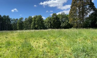 Amplio Terreno en Angachilla 9160 m2