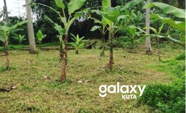 DIJUAL TANAH DESA GULINGAN MENGWI BADUNG, BALI